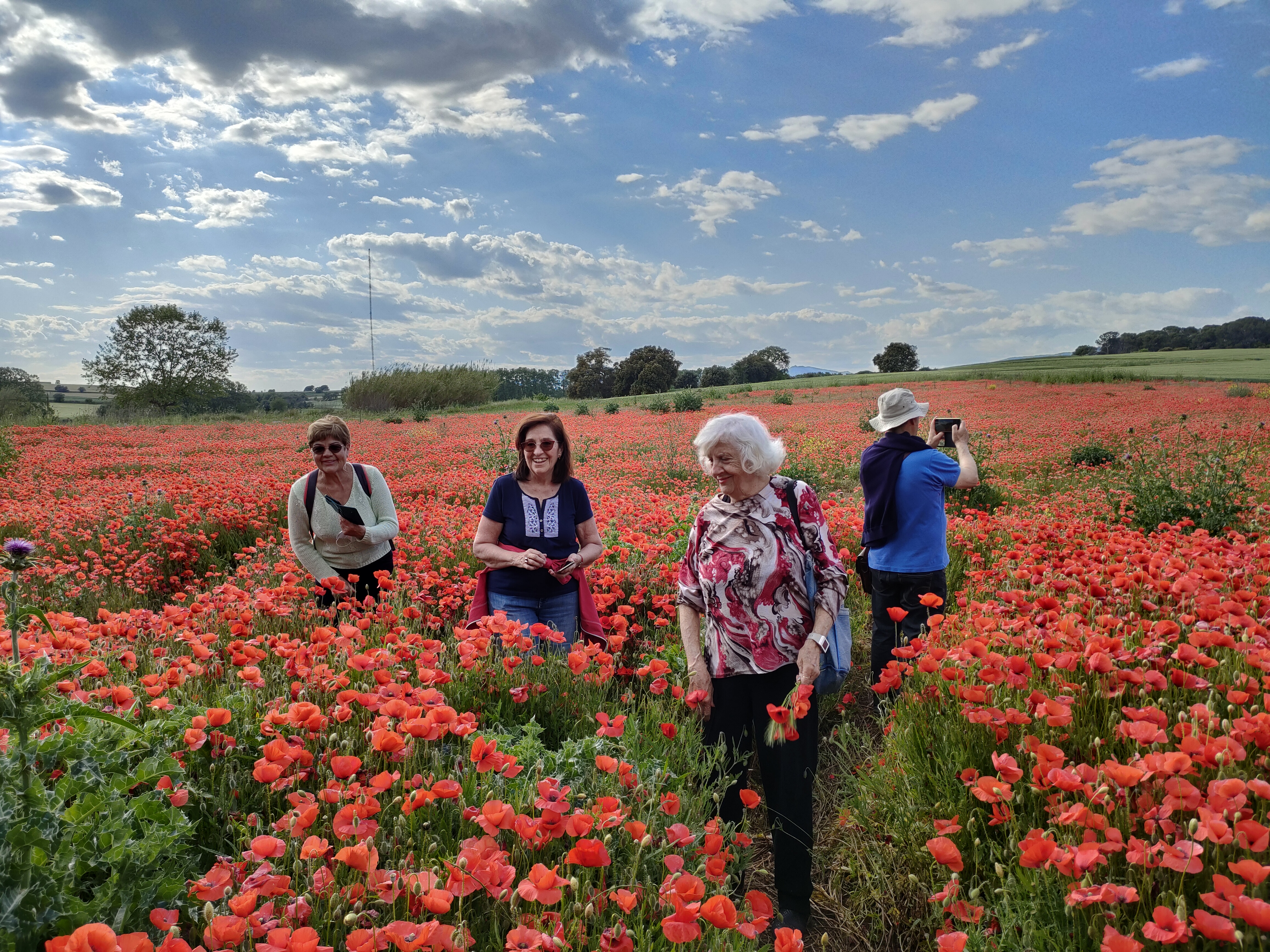 Imatge: Xus de la Cruz